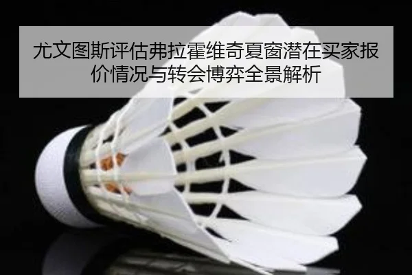 尤文图斯评估弗拉霍维奇夏窗潜在买家报价情况与转会博弈全景解析