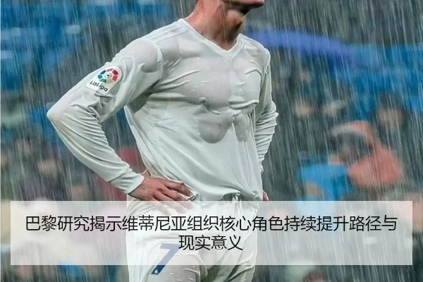 巴黎研究揭示维蒂尼亚组织核心角色持续提升路径与现实意义